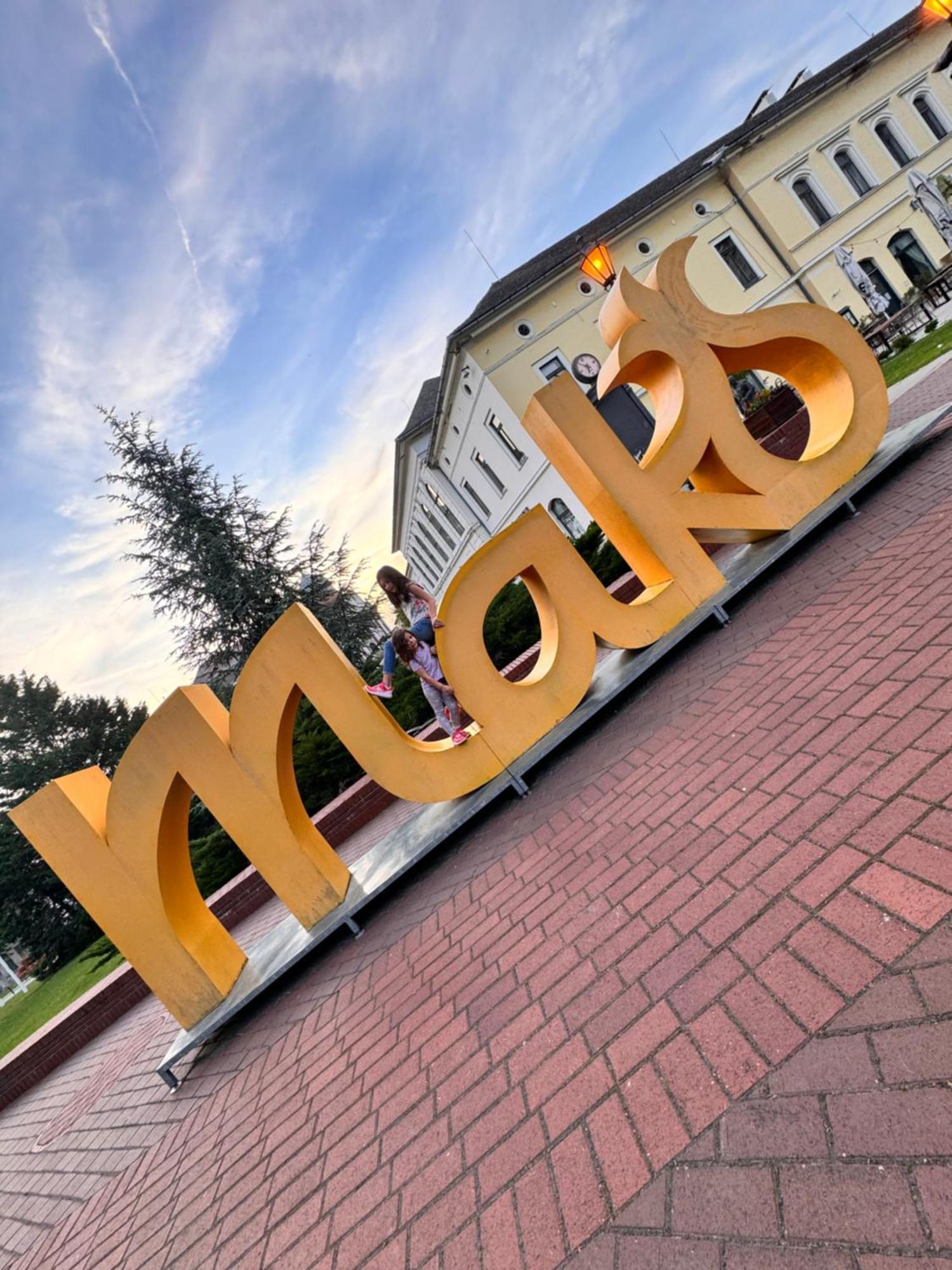 Pensiunea Schwartzy Hotel Makó Exterior foto