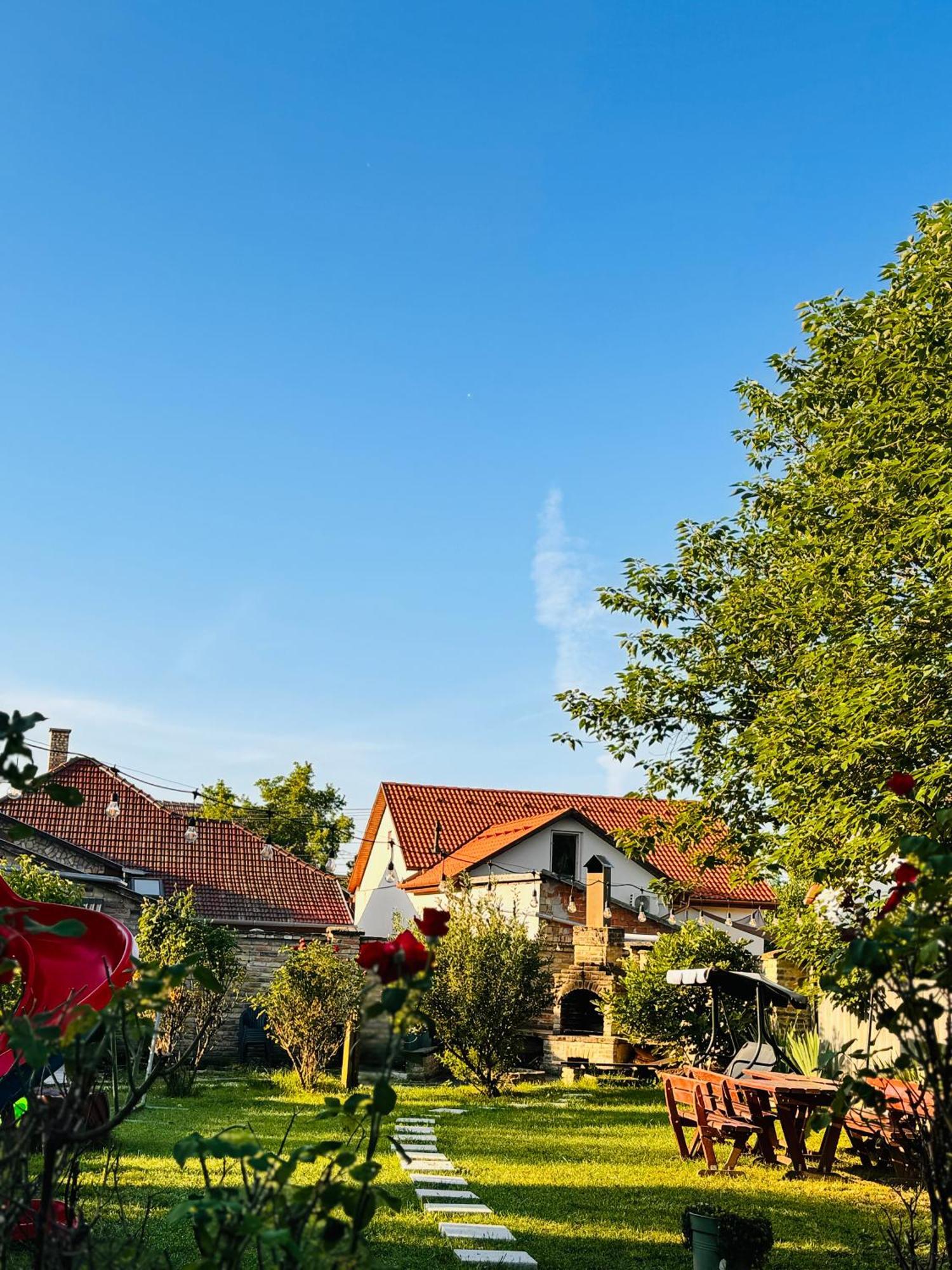 Pensiunea Schwartzy Hotel Makó Exterior foto