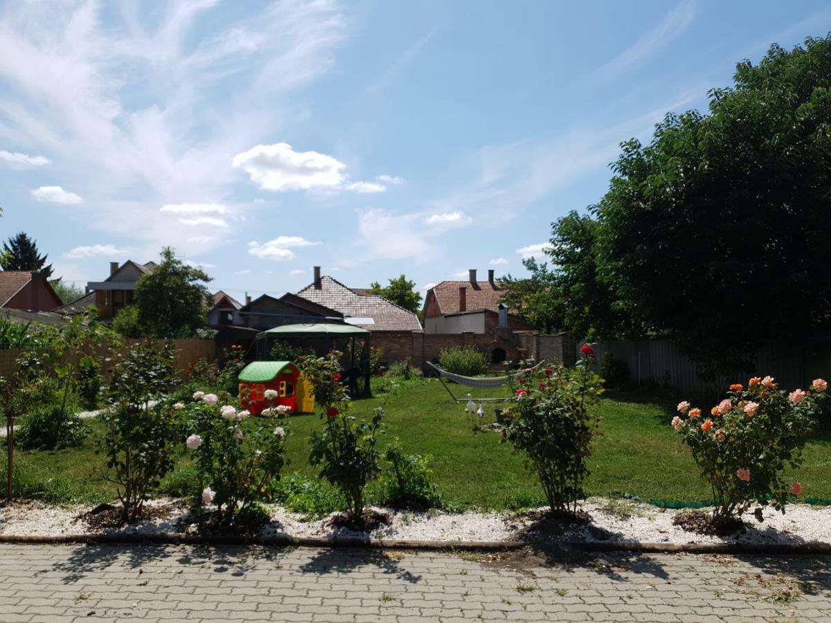 Pensiunea Schwartzy Hotel Makó Exterior foto